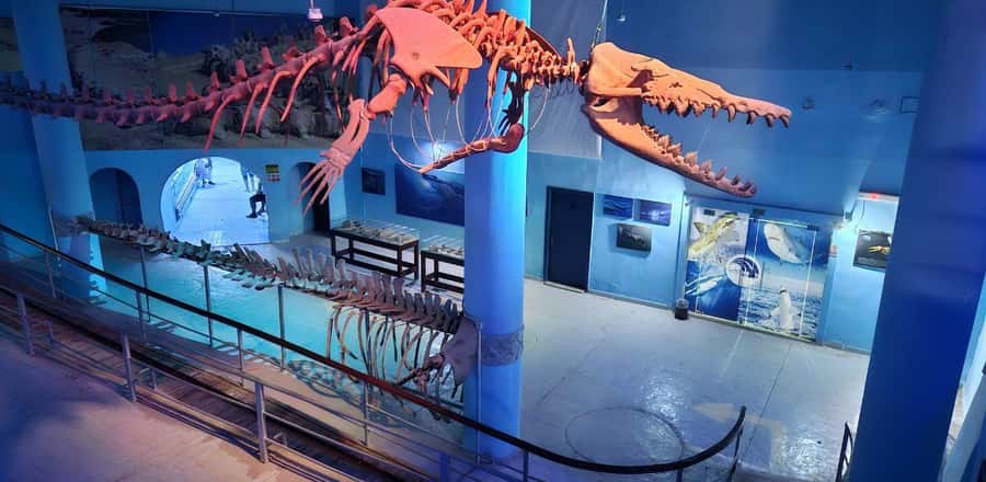 Entry Ticket: Grand Aquarium Hurgada - Feeding turtles, tortoises, pelicans, and monkeys
