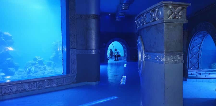Entry Ticket: Grand Aquarium Hurgada - Entering through the rainforest-style entrance