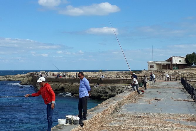 Exceptional Alexandria tour from Cairo + Alexandria food tour - Bibliotheca Alexandrina and the modern city