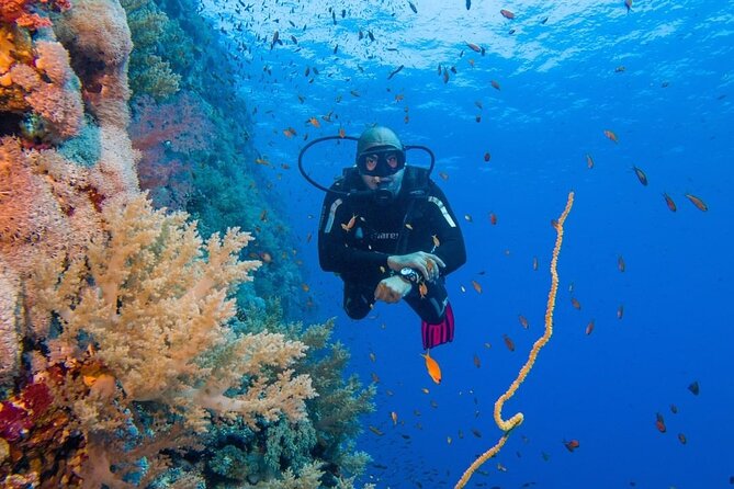 Explore Hurghada Two Thrilling Boat Dives for Certified Divers - Key points before you book