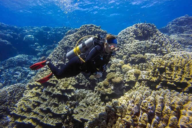 Explore Hurghada Two Thrilling Boat Dives for Certified Divers - Why Hurghada is a fine base for Red Sea scuba
