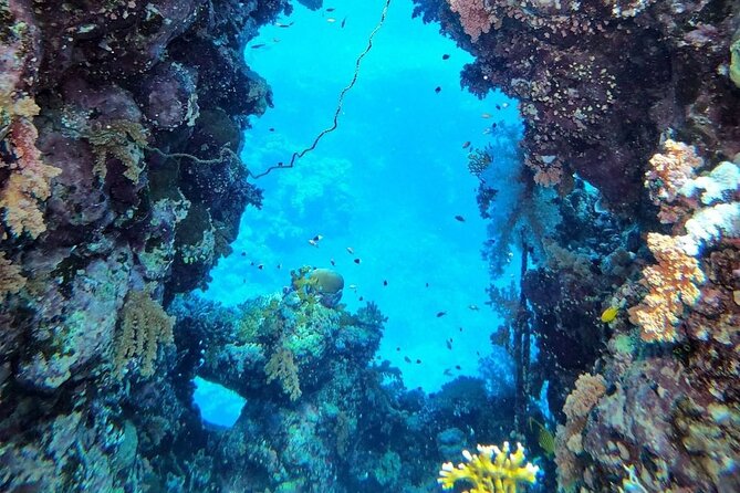 Explore Hurghada Two Thrilling Boat Dives for Certified Divers - 3:00 PM return trip and 4:00 PM marina arrival