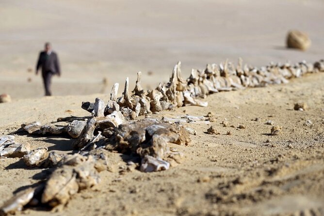 Fayoum 4x4 Safari Adventure, Sandboarding, Lunch, Felucca - Wadi El Rayan waterfalls and Mudawara Mountains