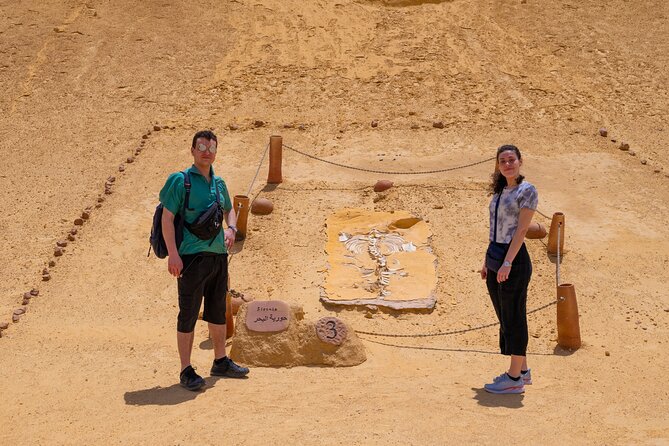 Fayoum Oasis Adventure 4WD Desert Safari with Traditional Lunch - Why Fayoum makes a good break from Cairo