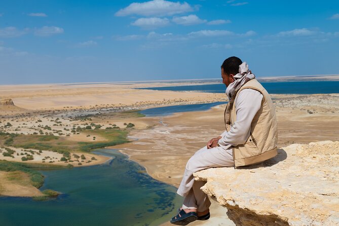 Fayoum Oasis Adventure 4WD Desert Safari with Traditional Lunch - Mudawara Mountain and the 4WD switch