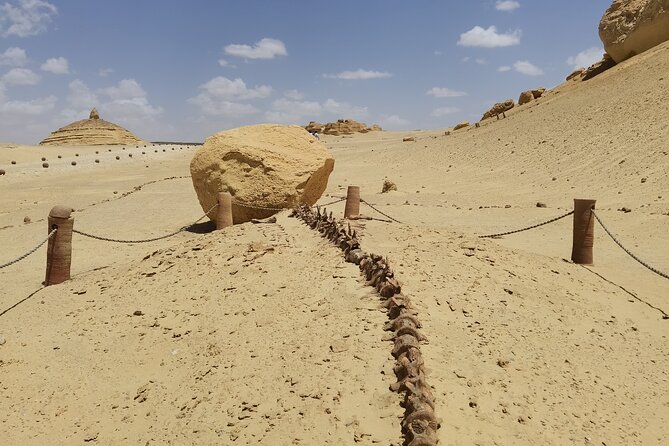Fayoum Oasis Adventure 4WD Desert Safari with Traditional Lunch - Lunch, cardamom tea, and sandboarding at camp
