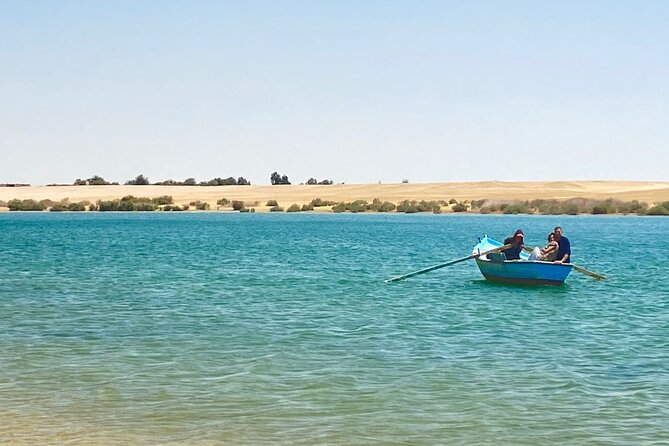 Fayoum Oasis Tour Hidden Gem Wadi El Rayan & Valley of the Whales - Wadi Al Hitan and the story of the first whales
