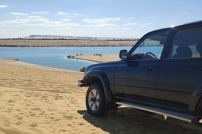 Fayoum Oasis Tour Hidden Gem Wadi El Rayan & Valley of the Whales - Lunch and the human side of the day