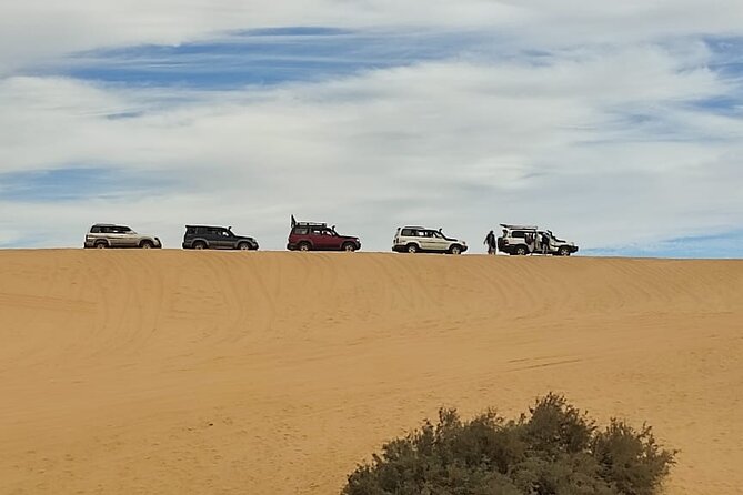 Fayoum Oasis Tour Hidden Gem Wadi El Rayan & Valley of the Whales - The 4x4 ride to Wadi Al Hitan