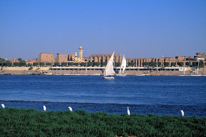 Felucca in Luxor Amazing Sunset sailing {Private} 2 Hours - Banana Island and Egyptian tea