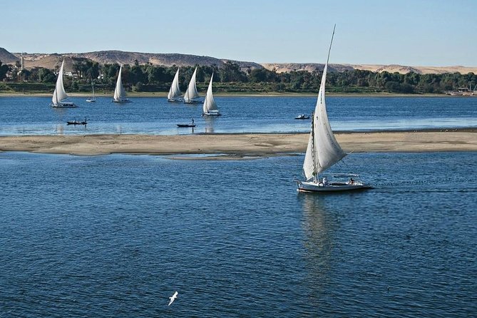 Felucca in Luxor Amazing Sunset sailing {Private} 2 Hours - Hotel pickup and the move to the river
