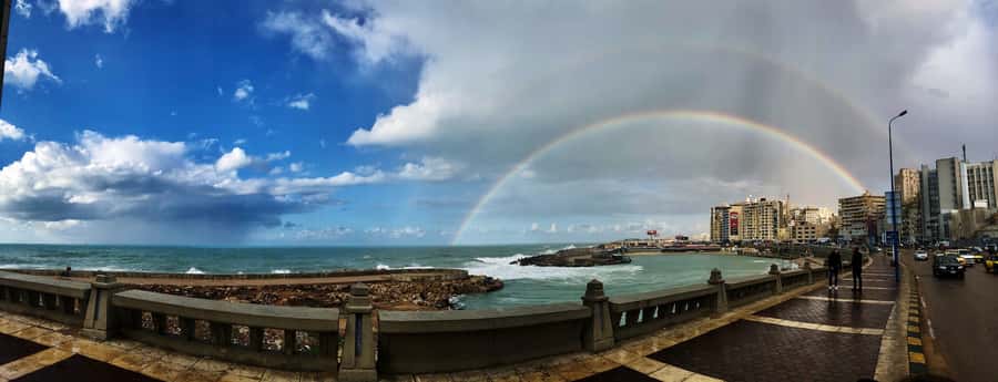 From Alexandria:- Alexandria Top Highlights half-day tour - The harbor, Saint Mark Cathedral, and the city beyond the headline sights