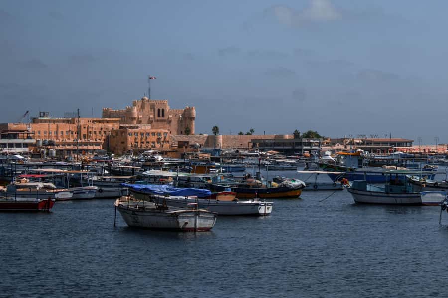 From Alexandria:- Alexandria Top Highlights half-day tour - Guides, languages, and the human side of the tour