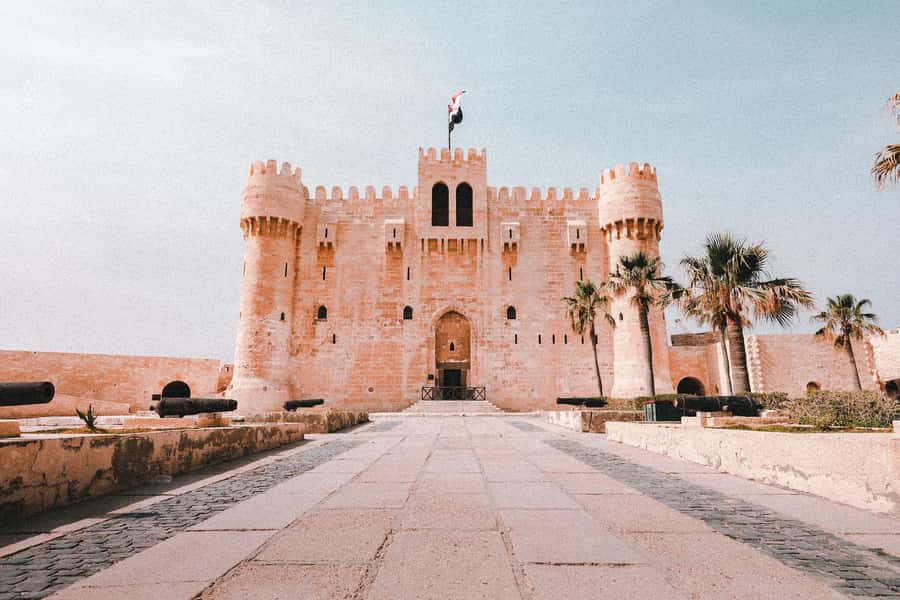 From Alexandria:- Alexandria Top Highlights half-day tour - Pickup, timing, and practical planning