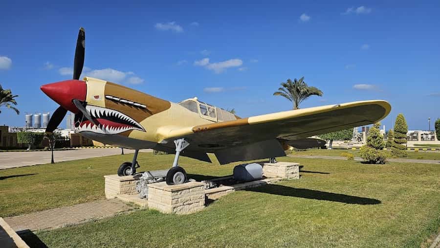 From Alexandria: El Alamein Day Trip - Meeting Rommel and the North African Campaign