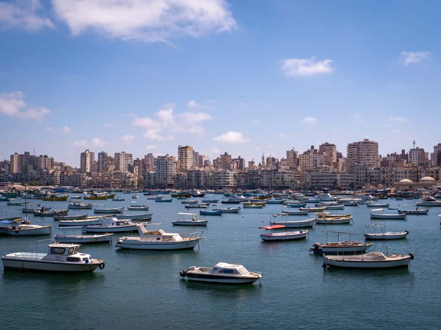 From Alexandria: Highlights of Alexandria Full City Tour - Pace, comfort, and practical preparation