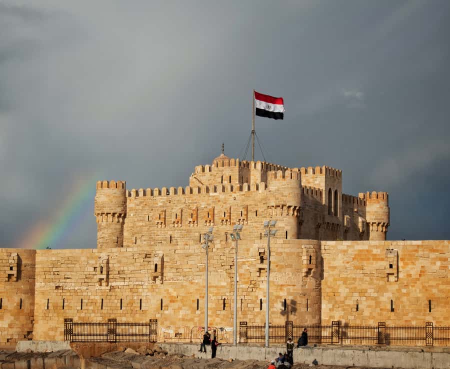 From Alexandria: Highlights of Alexandria Full City Tour - Qaitbay Fort and the eastern harbor