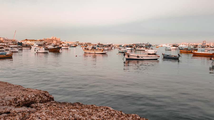 From Alexandria: Highlights of Alexandria Full City Tour - What $65 per person really buys