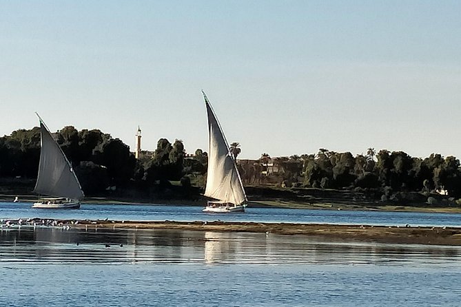 From Aswan: 2 Night-3 Day Nile Cruise & Hot Air Balloon Ride - Day 1: Abu Simbel after a 4:00 a.m. start