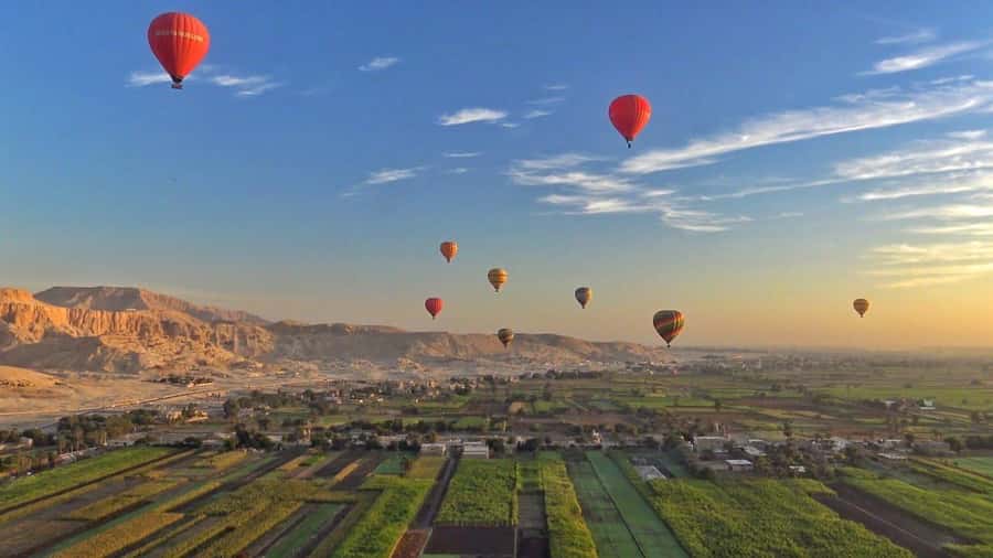 From Cairo: 5-Day Nile Cruise to Aswan & Balloon by Flights - Abu Simbel requires an early start