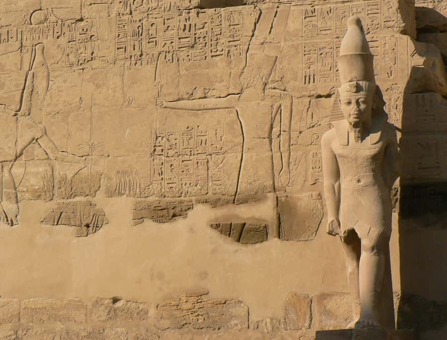 From Cairo: 5-Day Tour with Nile Cruise, Balloon, & Flights - Who should choose this five-day route