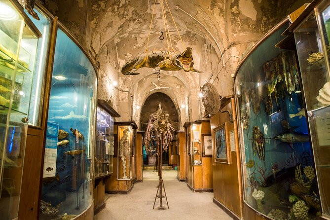 From Cairo: Alexandria Catacombs and Citadel Day Trip with Lunch - The underground world of Kom El Shoqafa