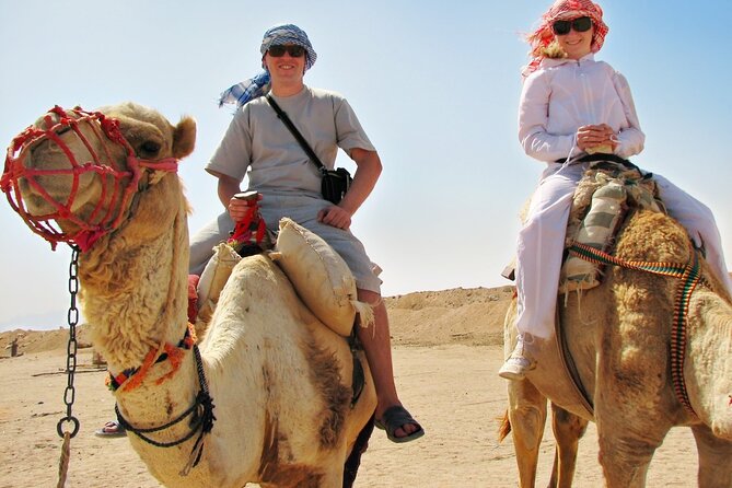 From Cairo: Desert Safari, Waterfalls, Sand boarding and Camel ride with Lunch - Guides, group size, and service quality