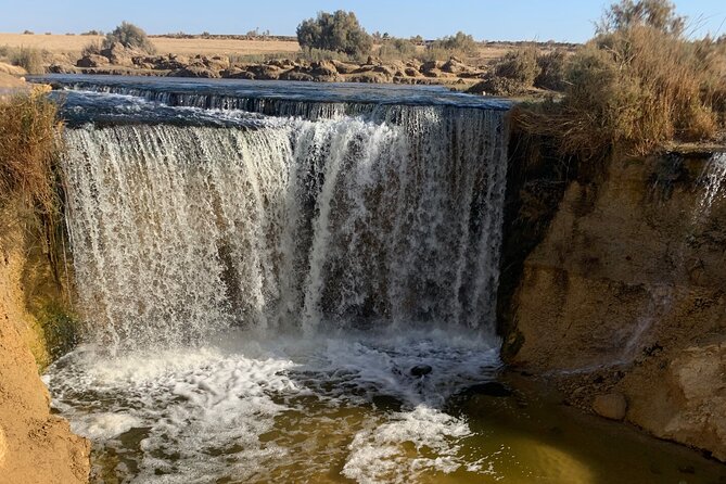 From Cairo: Desert Safari, Waterfalls, Sand boarding and Camel ride with Lunch - Is $130 good value from Cairo?