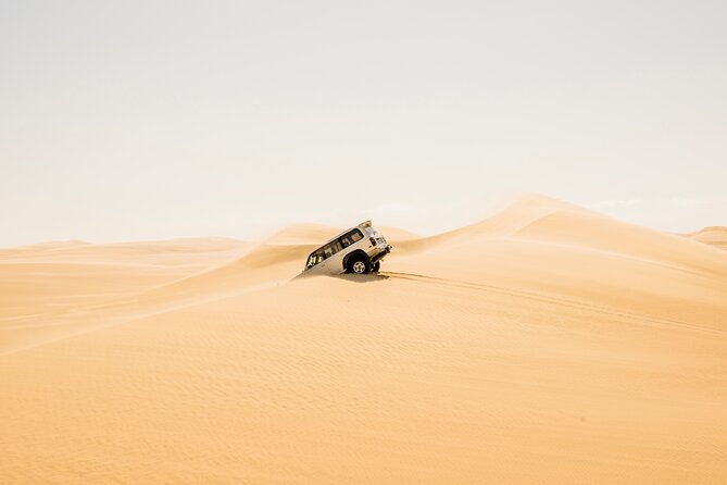 From Cairo: Desert Safari, Waterfalls, Sand boarding and Camel ride with Lunch - A short camel ride with Bedouin flavor