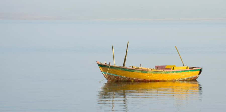 From Cairo: Fayoum Oasis and Wadi Al Rayan Guided Tour - Key points to know before booking