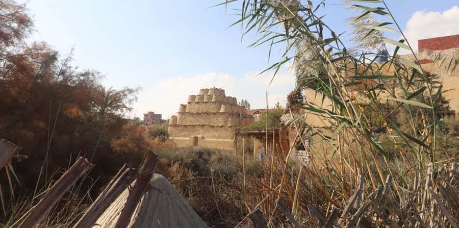 From Cairo: Fayoum Oasis and Wadi Al Rayan Guided Tour - Guides, languages, and the quality of the day