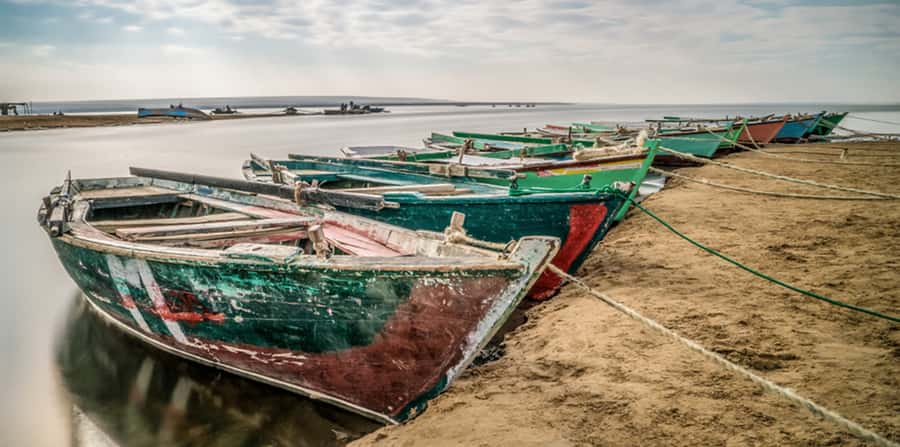 From Cairo: Fayoum Oasis and Wadi Al Rayan Guided Tour - Is $161 a fair price?