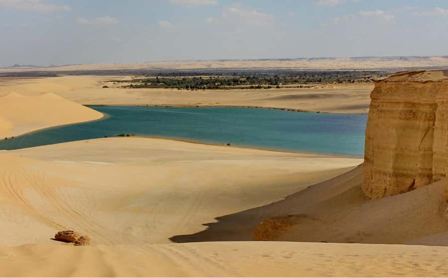 From Cairo: Full-Day Tour to El Fayoum - Key Points Before You Book