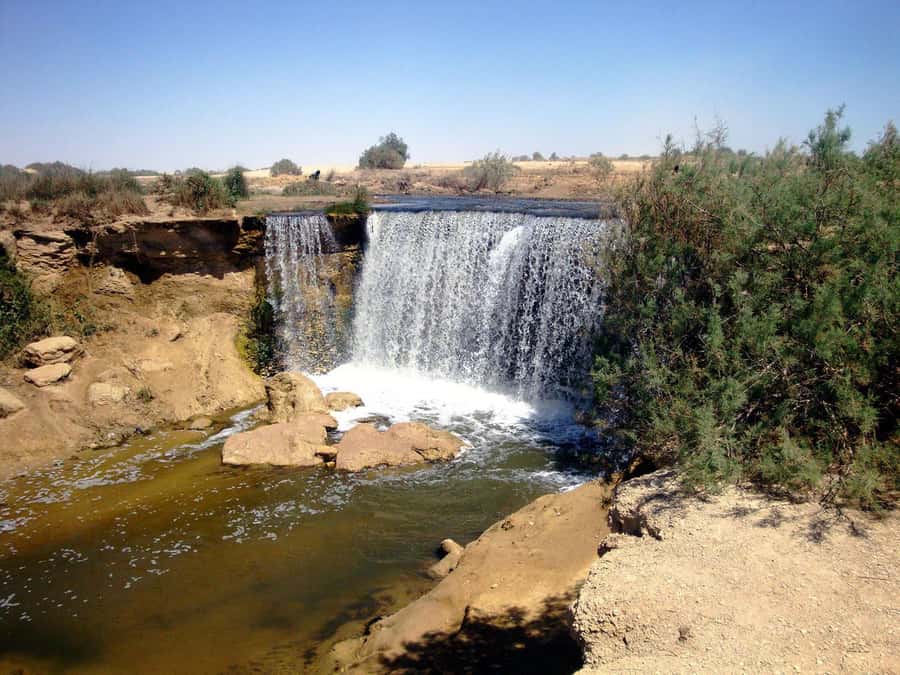 From Cairo: Full-Day Tour to El Fayoum - Qarun Lake and the Fayoum Water System