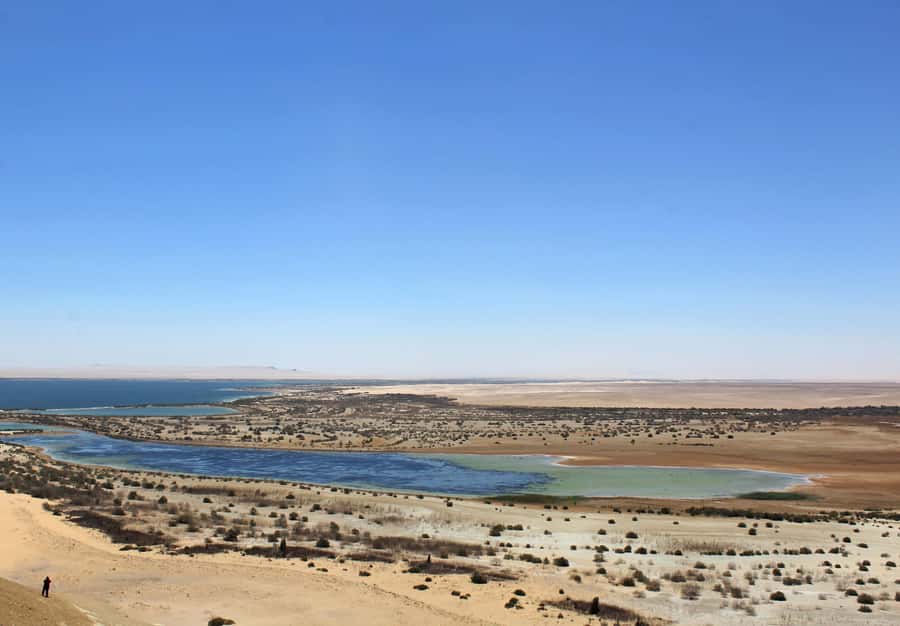 From Cairo: Full-Day Tour to El Fayoum - Wadi El Rayan and Egypt’s Waterfalls