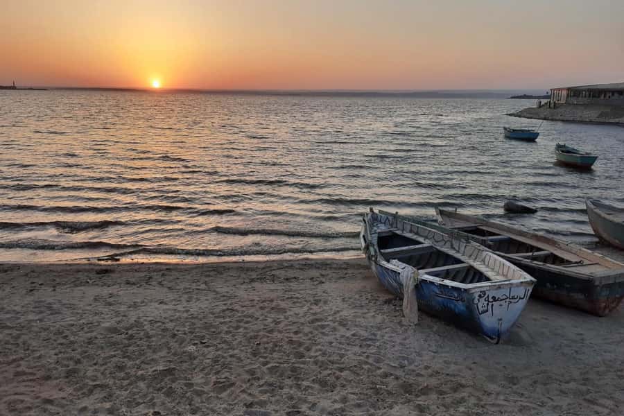 From Cairo: Full-Day Tour to El Fayoum - Whale Valley and the Small Fossil Museum