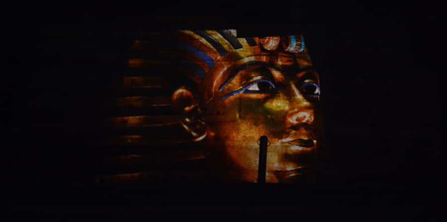 From Cairo: Giza Pyramids Tour with Light Show and Transfer - Why the Short Format Works for Families