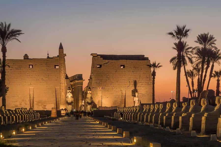 From Cairo: Private All-Inclusive Tour of Luxor by Plane - Guide quality, private service, and the value of $370