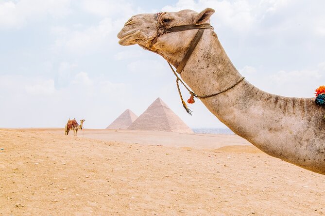 From Cairo: Private Crowd Free Half Day Pyramids Adventure - Why the 7:30 am start is worth the alarm