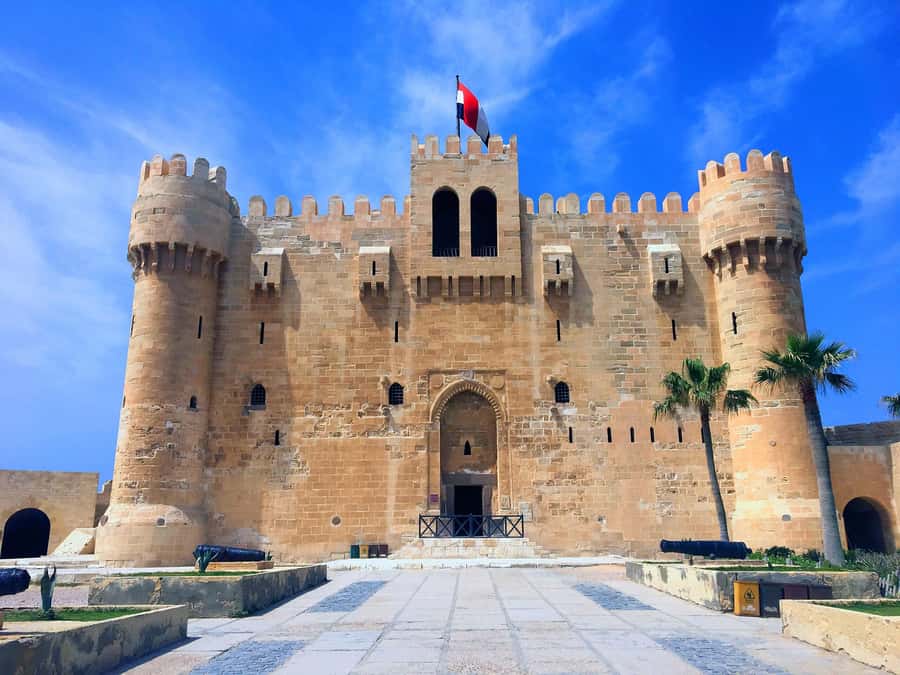 From Cairo: Private Full-Day Tour of Historical Alexandria - Is the private option worth $65?