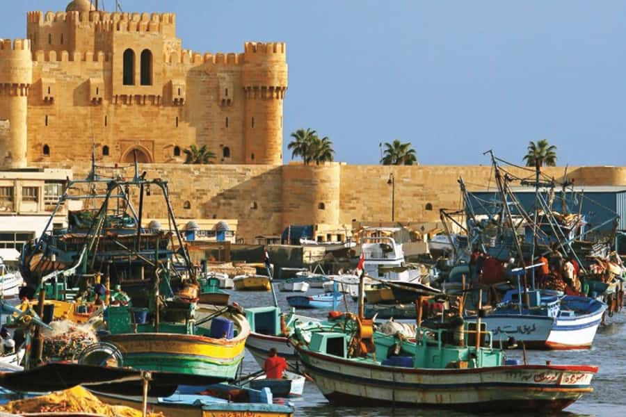 From Cairo: Private Full-Day Tour of Historical Alexandria - Kom El-Deka brings Roman Alexandria to life