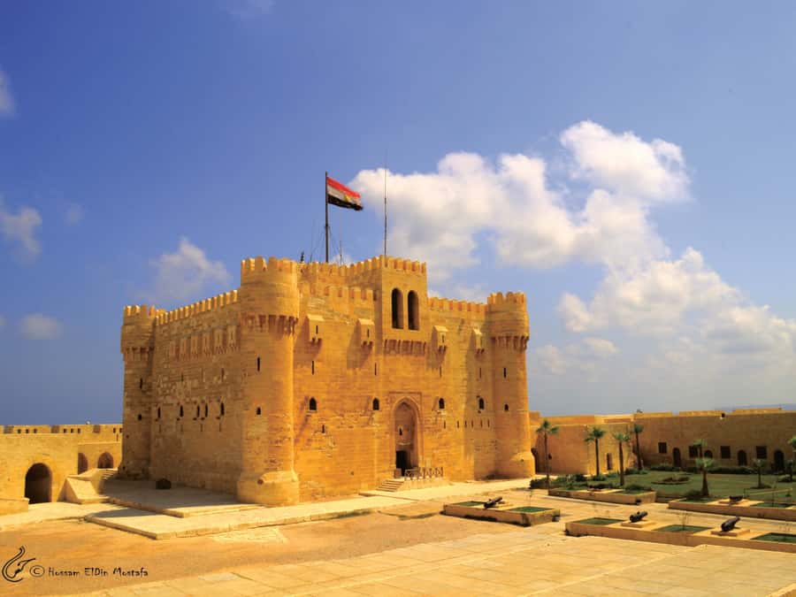 From Cairo: Private Full-Day Tour of Historical Alexandria - Qaitbay Citadel gives you Alexandria’s best views