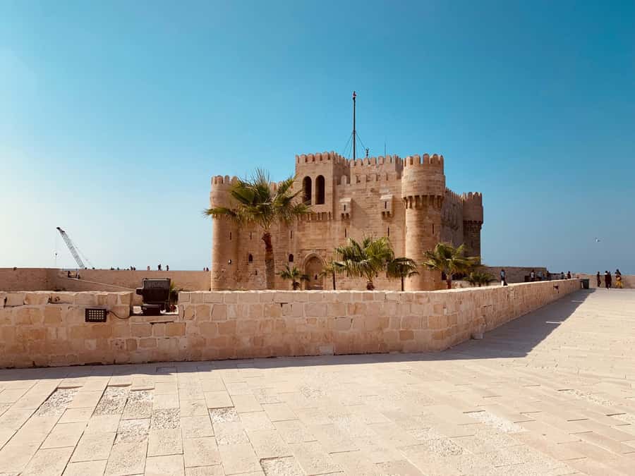 From Cairo: Private Luxurious Day Trip to Alexandria - Serapeum, Pompey’s Pillar, and the remains of Roman Alexandria
