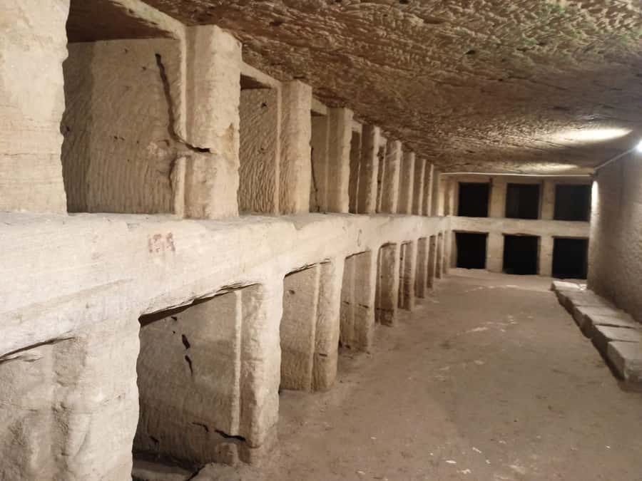 From Cairo: Private Luxurious Day Trip to Alexandria - How the $192 price works in practical terms