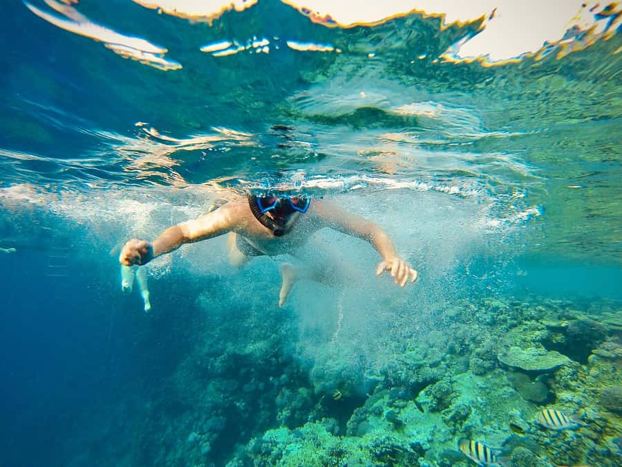 From Cairo: Snorkeling Trip on Yacht with Lunch - From Cairo to Ain Sokhna by Private Car