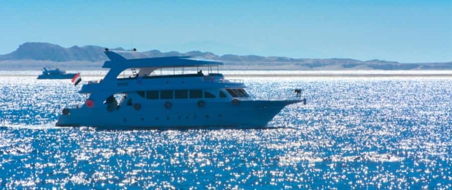 From Cairo: Snorkeling Trip on Yacht with Lunch - What the Yacht Day Feels Like