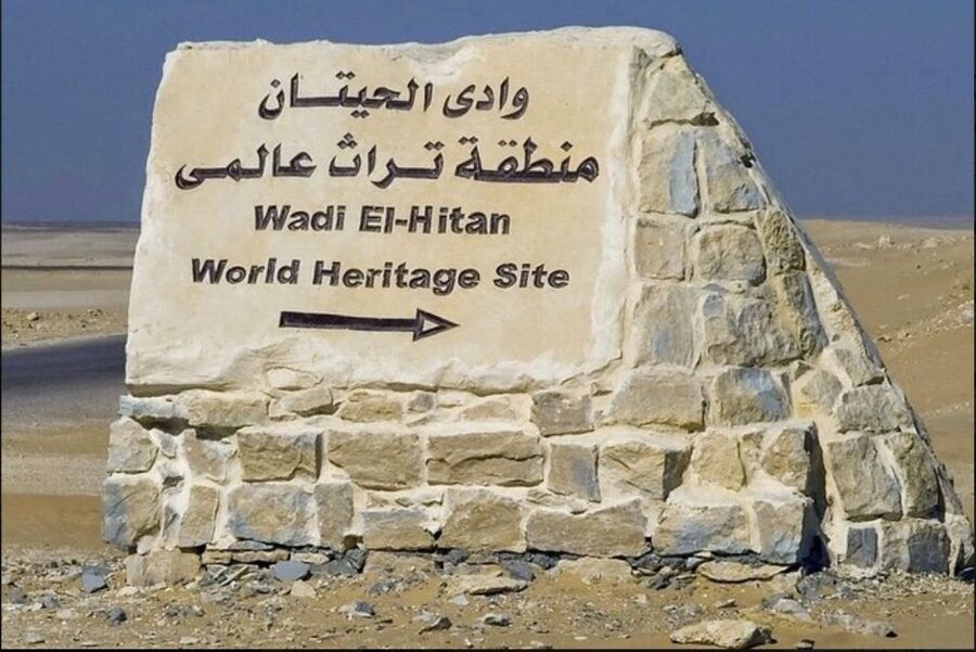 From Cairo: Whale Valley and Wadi El Rayan Waterfalls Tour - Key points to know before booking
