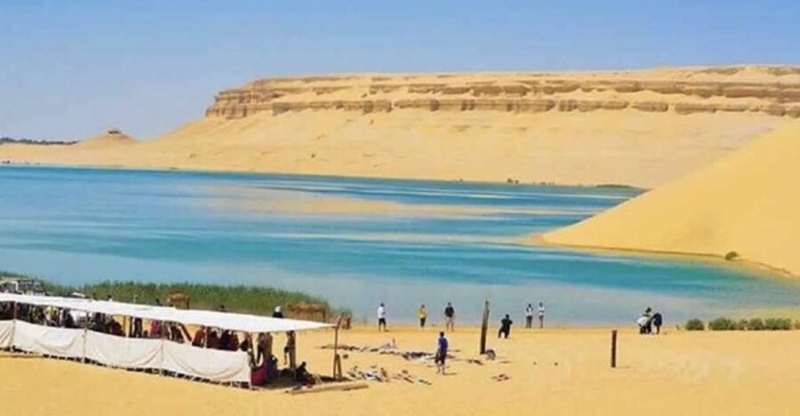 From Cairo: Whale Valley and Wadi El Rayan Waterfalls Tour - Why Fayoum makes a good break from Cairo