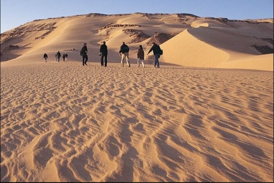 From Cairo: Whale Valley and Wadi El Rayan Waterfalls Tour - Qarun Lake, ancient water beside desert
