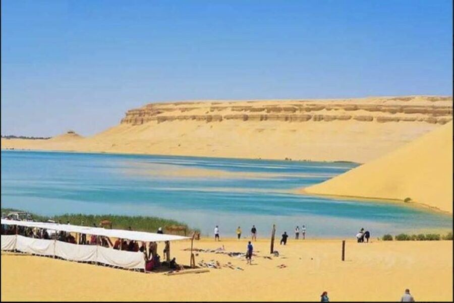 From Cairo: Whale Valley and Wadi El Rayan Waterfalls Tour - Whale Valley and the story inside the fossils